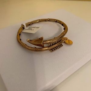 Alex and Ani Eros Arrow Bracelet